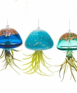Kinsman Garden Company Jellyfish Air Plant Hangers Set/3