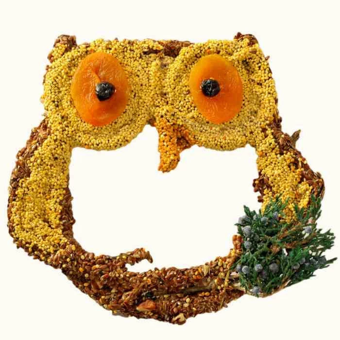 Mr. Bird Big Owl Bird Seed Treat-Grapevine Form 3 Mr. Bird Big Owl Bird Seed Treat-Grapevine Form