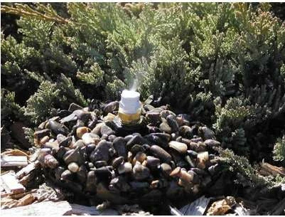 Birds Choice Leaf Mister On Base BirdBath Fountains, Misters & Wigglers 4 Birds Choice Leaf Mister On Base BirdBath Fountains, Misters & Wigglers