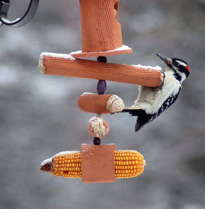 Amaranth Stoneware Unique Bird Feeders Hand Crafted Suet Feeder & More 3 Amaranth Stoneware Unique Bird Feeders Hand Crafted Suet Feeder & More