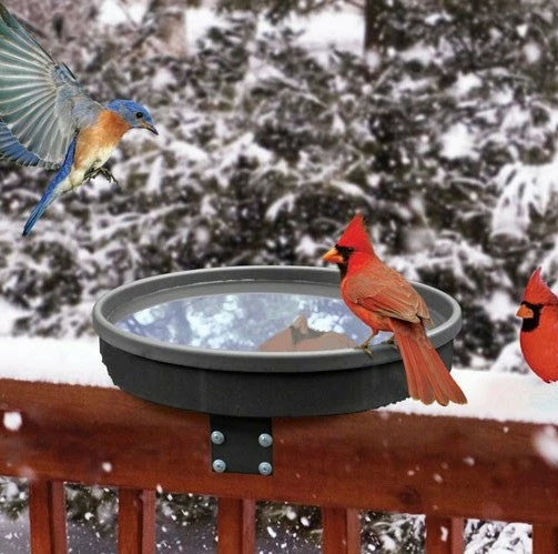 Songbird Essentials Songbird Spa Heated Deck-Mount Bird Bath 3 Songbird Essentials Songbird Spa Heated Deck-Mount Bird Bath