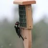 Kettle Moraine Tail Prop Suet Feeder Suet Feeders